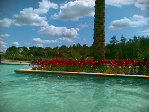 fountain